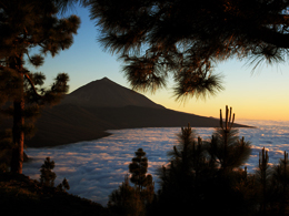 Vuelta a la isla y visita al Teide