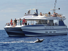Catamarán