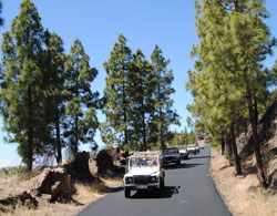 Jeep Safari Jeep Safari