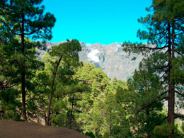 Caldera de Taburiente Caldera de Taburiente