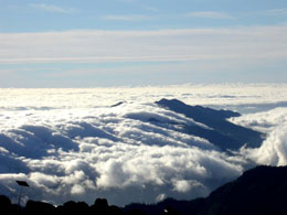 La Palma a vista de pájaro La Palma a vista de pájaro