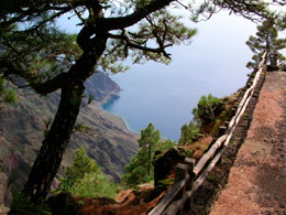 Viewpoint in El Hierro