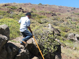Ruta por Teno Alto