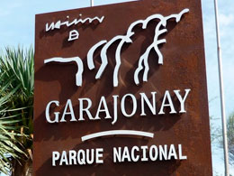 Parque Nacional Garajonay Parque Nacional Garajonay