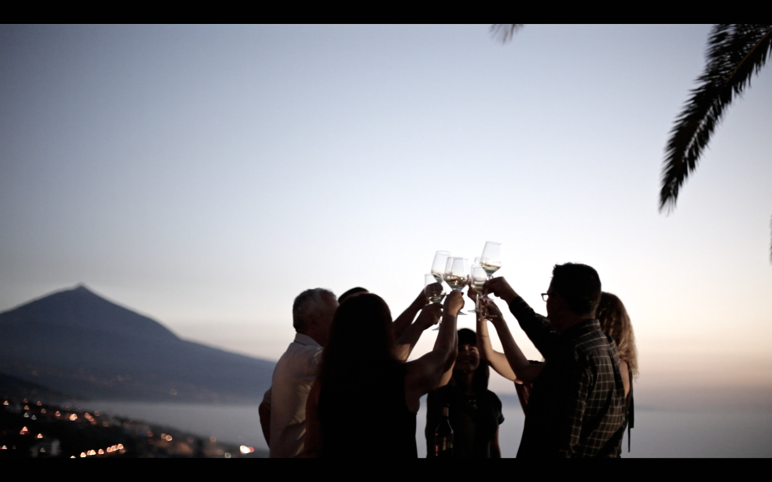 Enoturismo en Tenerife con catas y guía especializada
