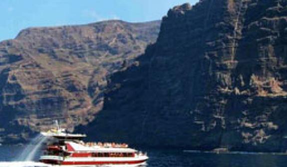 Avistamiento de cetáceos en Los Gigantes Avistamiento de cetáceos en Los Gigantes