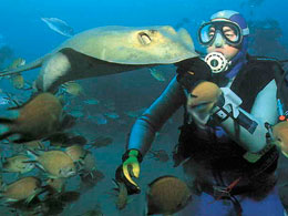Buceo