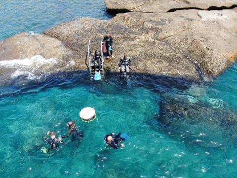 Bootsausflug und Schnorcheln über Lavazungen auf Teneriffa Bootsausflug und Schnorcheln über Lavazungen auf Teneriffa