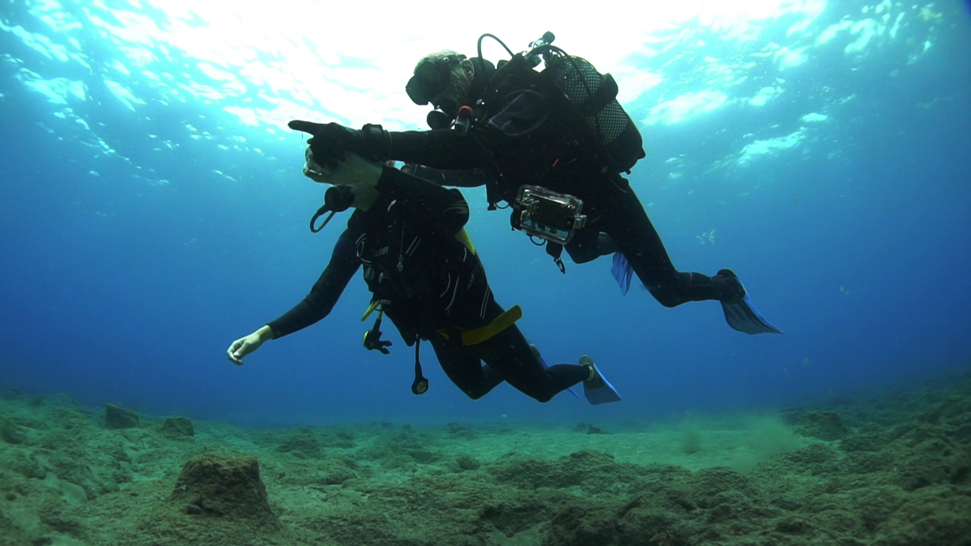 Bautismo de buceo en el sur de Tenerife